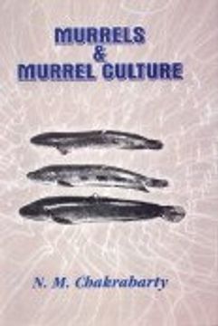 portada Murrels and Murrel Culture