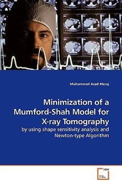 portada minimization of a mumford-shah model for x-ray tomography (in English)