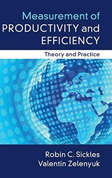 portada Measurement of Productivity and Efficiency: Theory and Practice (in English)
