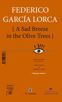 portada A sad breeze in the olive trees