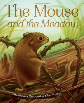portada Mouse and the Meadow