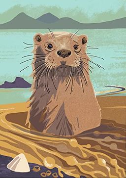 portada Nature Notebook: Otter (Birlinn Nature Notebooks)