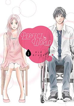 portada Perfect World 1 (en Inglés)