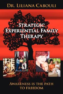 portada strategic experiential family therapy (en Inglés)