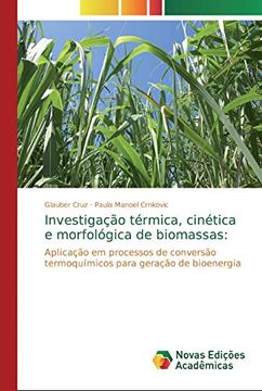 portada Investigação Térmica, Cinética e Morfológica de Biomassas: Aplicação em Processos de Conversão Termoquímicos Para Geração de Bioenergia (en Portugués)
