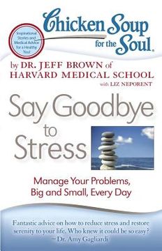 portada chicken soup for the soul: say goodbye to stress: manage your problems, big and small, every day (in English)