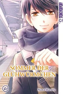 portada Sommer der Glühwürmchen 06 (in German)