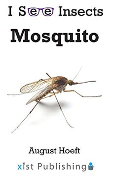 portada Mosquito (i see Insects) (in English)