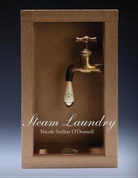 portada steam laundry (en Inglés)