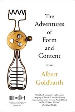 portada The Adventures of Form and Content: Essays
