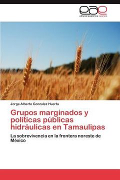 portada grupos marginados y pol ticas p blicas hidr ulicas en tamaulipas (in English)
