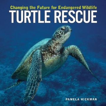 Turtle Rescue: Changing the Future for Endangered Wildlife (en Inglés)