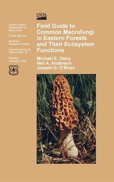 portada Field Guide to Common Macrofungi in Eastern Forests and Their Ecosystem Function (en Inglés)