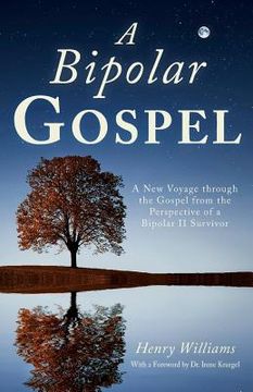 portada A Bipolar Gospel: A New Voyage through the Gospel from the Perspective of a Bipolar II Survivor (en Inglés)