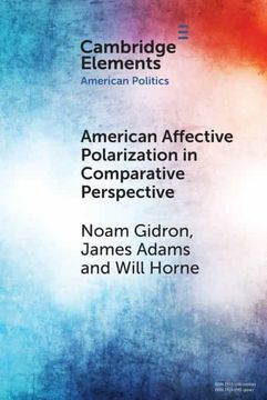 portada American Affective Polarization in Comparative Perspective (Elements in American Politics) (in English)