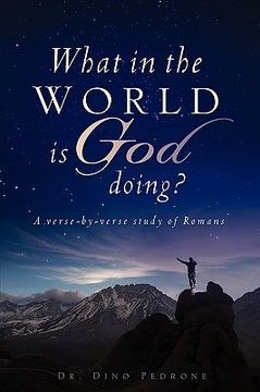 portada what in the world is god doing? (en Inglés)