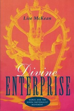 portada Divine Enterprise: Gurus and the Hindu Nationalist Movement (in English)