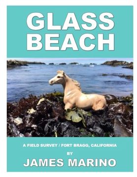 portada Glass Beach: A Field Survey / Fort Bragg, California