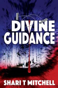 portada Divine Guidance (en Inglés)