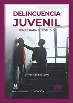 portada Delincuencia Juvenil: Temas Para su Estudio