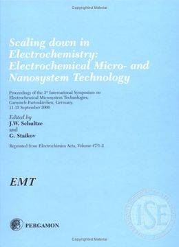 portada Scaling Down in Electrochemistry: Electrochemical Micro- And Nanosystem Technology (en Inglés)