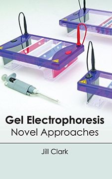 portada Gel Electrophoresis: Novel Approaches (en Inglés)