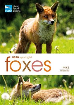 portada Rspb Spotlight: Foxes (en Inglés)