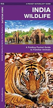 portada India Wildlife: A Folding Pocket Guide to Familiar Animals (Pocket Naturalist Guide Series)