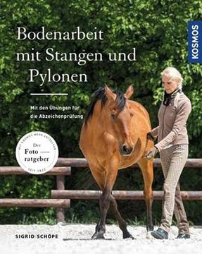 portada Bodenarbeit mit Stangen und Pylonen: Mit den Übungen für die Abzeichenprüfungen (en Alemán)