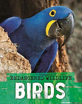 portada Endangered Wildlife: Rescuing Birds 