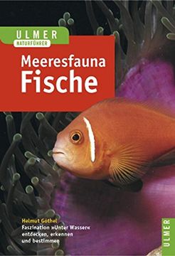 portada Meeresfauna Rotes Meer, Indischer Ozean (Malediven): Fische (Ulmers Naturführer) (in German)