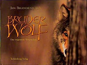 portada Bruder Wolf: Das Vergessene Versprechen (in German)
