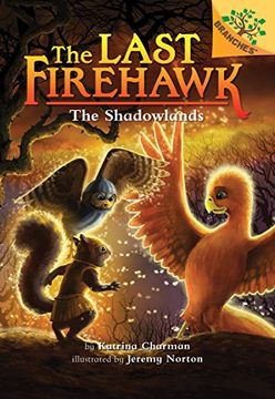 portada The Shadowlands: A Branches Book (The Last Firehawk #5) (en Inglés)