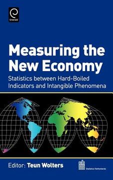 portada measuring the new economy: statistics between hard-boiled indicators and intangible phenomena (in English)