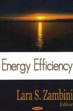 portada energy efficiency (en Inglés)