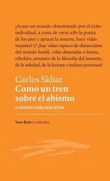 portada Como Un Tren Sobre El Abismo (spanish Edition)