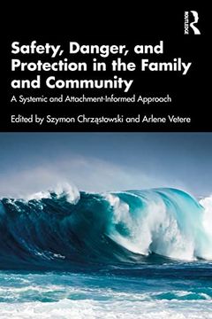 portada Safety, Danger, and Protection in the Family and Community 