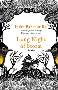 portada Long Night of Storm: Stories (in English)