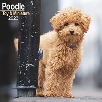 Libro Miniature Poodle Calendar - toy Poodle Calendars - dog Breed