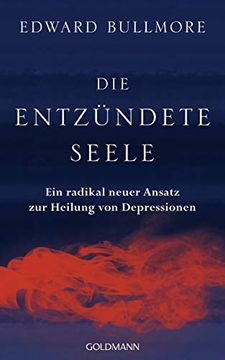 portada Die Entzündete Seele - ein Radikal Neuer Ansatz zur Heilung von Depressionen (en Alemán)