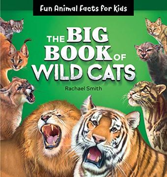portada The big Book of Wild Cats: Fun Animal Facts for Kids (en Inglés)