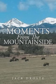 portada Moments From The Mountainside (en Inglés)