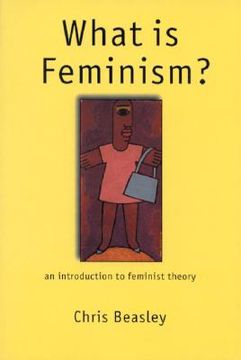 portada what is feminism?: an introduction to feminist theory (en Inglés)
