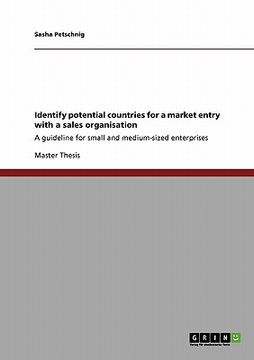 portada identify potential countries for a market entry with a sales organisation (en Inglés)
