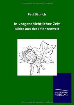 portada In vorgeschichtlicher Zeit (German Edition)