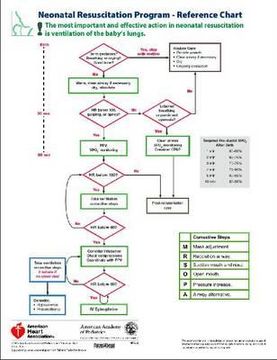National Resuscitation Program - Reference Chart, Pack of 5