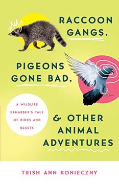portada Raccoon Gangs, Pigeons Gone Bad, and Other Animal Adventures: A Wildlife Rehabber's Tale of Birds and Beasts (in English)