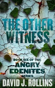 portada The Other Witness