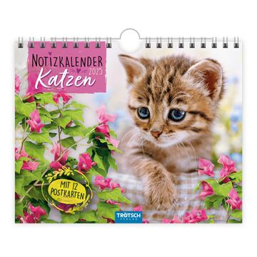 portada Trötsch Notizkalender Querformat Notizkalender Katzen 2025 mit 12 Postkarten