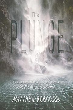 portada The Plunge (in English)